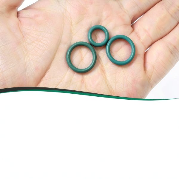 Fuel Injection Rail O-Ring Antrys Rubber Seal-2