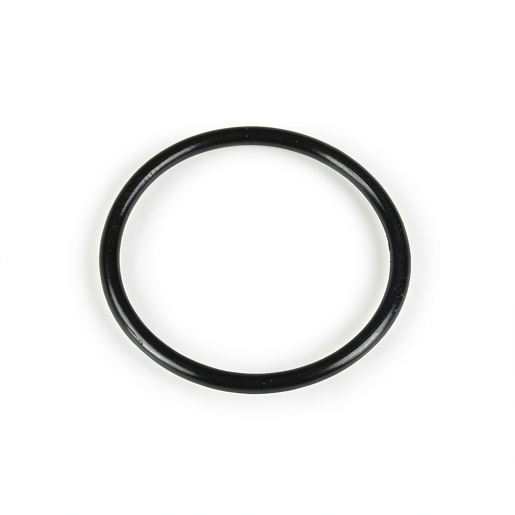 Close‑up of IPW Industries fuel injection O‑Ring installed in a fuel rail