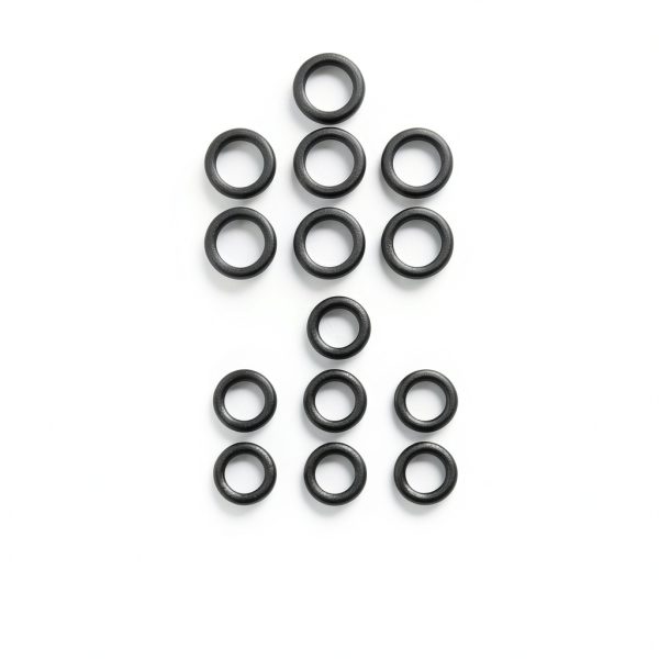 PLADANG Fuel O-Rings 14 Count Black 800-013-5