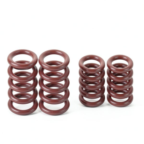 Filloman Fuel Line O-Ring Kit 20-Piece-3