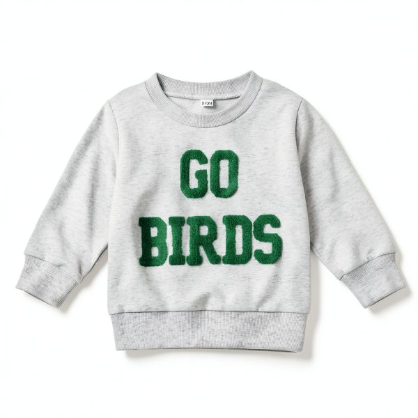 Toddler Baby Boy Go Birds Sweatshirt Gray 2-3T-1