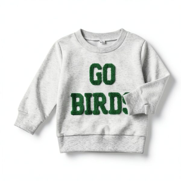 Toddler Baby Boy Go Birds Sweatshirt Gray 2-3T-2