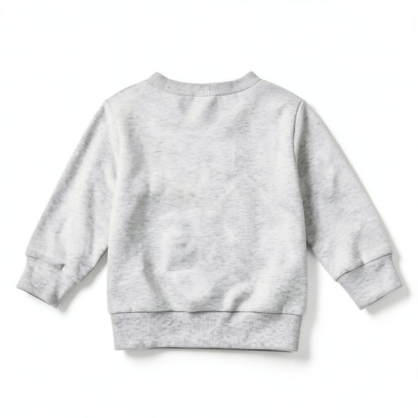Toddler Baby Boy Go Birds Sweatshirt Gray 2-3T-3