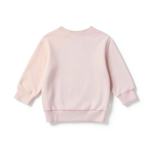 Amnnchya Girls Pink Sweatshirt 6-12 Months Baby Crewneck Pullover-2
