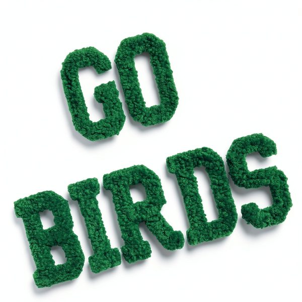 Toddler Baby Boy Go Birds Sweatshirt Gray 2-3T-5
