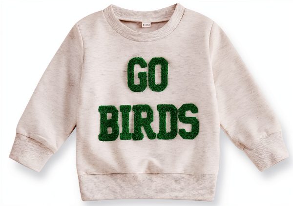 Toddler Baby Boy Go Birds Sweatshirt Gray 2-3T-0