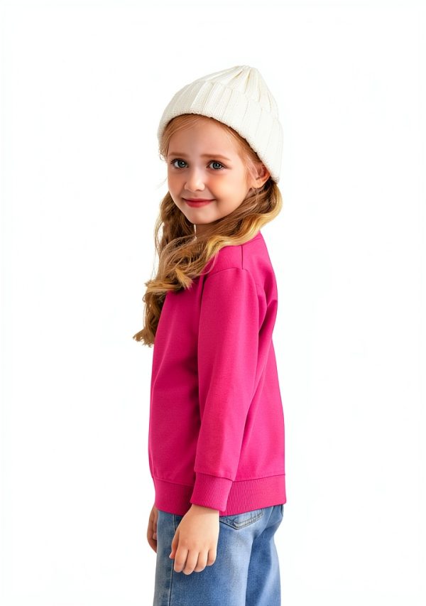 Cooraby Baby Girls Sweatshirt 3 Pack No Cap Crewneck Sleeve Pullover-3